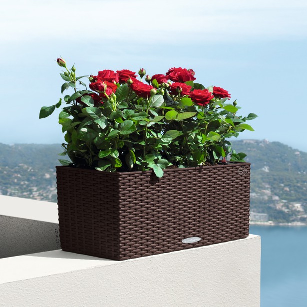 BALCONERA Cottage
